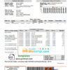 editable template, Ghana PDS electricity utility bill template in Word and PDF format