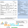 editable template, USA Tennesse MLGW utility bill template in Word and PDF format