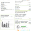 editable template, Philippines WeGen Energy Philippines utility bill template in Word and PDF format