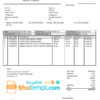 editable template, USA San Francisco Xincube utility bill template in Word and PDF format