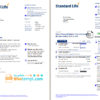 editable template, United Kingdom Standard Life utility bill template in Word and PDF format, 7 pages