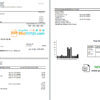 editable template, USA DTE Energy utility bill template in Word and PDF format (2 pages)