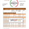 editable template, Yemen International bank of Yemen proof of address bank statement template in Word and PDF format