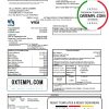 editable template, USA USAA bank Credit card statement template in Excel and PDF format