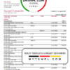 editable template, USA BB&T Corp. bank statement template in Word and PDF format