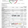 editable template, Switzerland UBS bank proof of address statement template in Word and PDF format, version 1