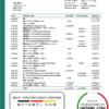 editable template, Slovenia Abanka d.d bank statement template in Word and PDF format