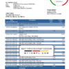editable template, San Marino Banca di San Marino bank statement template, Word and PDF format (.doc and .pdf)