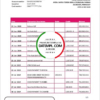 editable template, Paraguay Vision Banco bank statement template in Word and PDF format