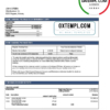 editable template, Norway Pareto Bank statement easy to fill template in Word and PDF format