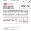 editable template, Latvia Citadele bank statement template, Word and PDF format (.doc and .pdf)
