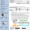 editable template, USA New York National Grid utility bill template in Word and PDF format