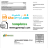 editable template, USA Massachusetts Boston NYSEG electricity utility bill template in Word and PDF format