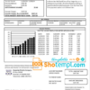 editable template, USA Hawaiian Electric utility bill template in Word and PDF format (.doc and .pdf)