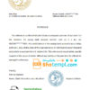 editable template, Bolivia Banco Central de Bolivia account reference letter template in Word and PDF format