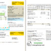 editable template, USA Washington Puget Sound Energy utility bill template in Word and PDF format (2 pages), version 2