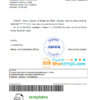 editable template, Brazil Caixa bank account reference letter template in Word and PDF format