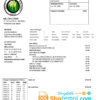 editable template, Belize Electricity Limited electricity utility bill template in Word and PDF format