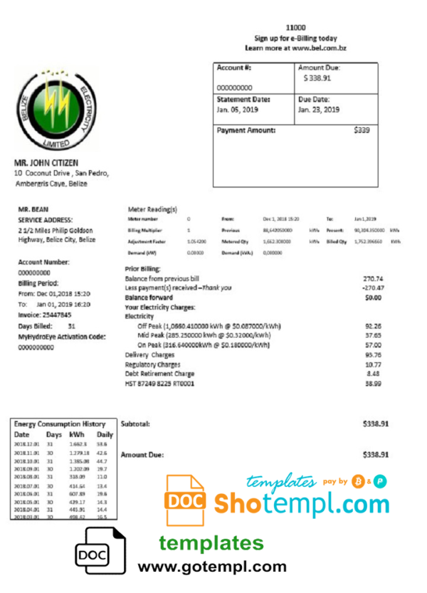 editable template, Belize Electricity Limited electricity utility bill template in Word and PDF format