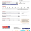editable template, Brazil Gas utility bill template in Word and PDF format