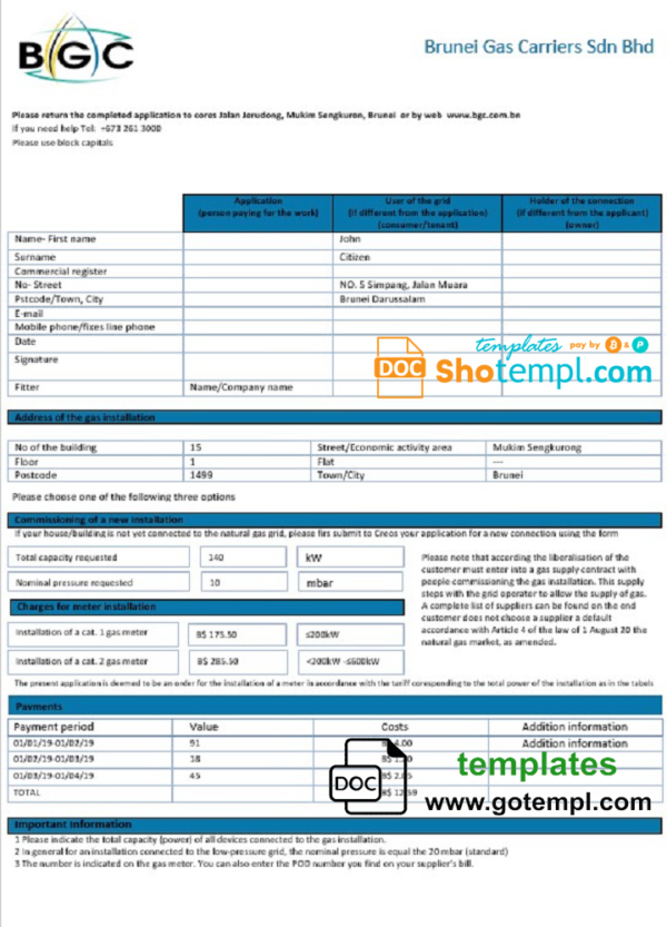 editable template, Brunei Gas Carriers gas utility bill template in Word and PDF format