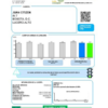 editable template, Colombia ENEL energy utility bill template in Word and PDF format