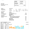 editable template, Dominica Electricity Services Limited electricity utility bill template in Word and PDF format