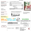 editable template, France Gaz de France Dolcevita utility bill template in Word and PDF format