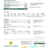 editable template, India Indraprasth Gas utility bill template in Word and PDF format