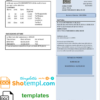 editable template, Italy Publiacqua utility bill template in Word and PDF format