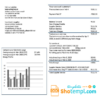 editable template, Kazakhstan Yokogawa Electric Kazakhstan utility bill template in Word and PDF format (.doc and .pdf)