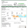 editable template, Lebanon Electricity of Lebanon utility bill template in Word and PDF format