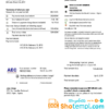 editable template, Algeria AEC Algerian Energy Company utility bill template in Word and PDF format