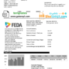 editable template, Andorra ELECTRIC FORCES OF ANDORRA utility bill template in Word and PDF format