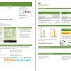 editable template, USA ScottishPower utility bill template in Word and PDF format (3 pages)