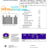editable template, Turkmenistan Turkmengaz utility bill template in Word and PDF format