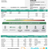 editable template, Mexico Electricity CFE utility bill template in Word and PDF format, fully editable