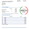 editable template, USA JP Morgan Chase bank proof of address statement template in Word and PDF format, .doc and .pdf format