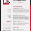 editable template, Completely Editable Professional Resume template in WORD format