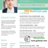 editable template, Your Professioanl Resume Template in WORD format