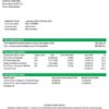 editable template, Brunei Baiduri Bank proof of addres statement template in Word and PDF format