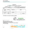 editable template, # unity future bank universal multipurpose bank account reference template in Word and PDF format