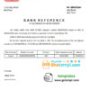 editable template, # fine insight bank universal multipurpose bank account reference template in Word and PDF format