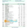 editable template, Argentina Banco Patagonia bank statement template in Excel and PDF format