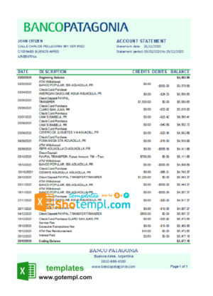 editable template, Argentina Banco Patagonia bank statement template in Excel and PDF format