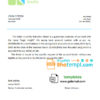 editable template, # logic insight bank universal multipurpose bank account reference template in Word and PDF format