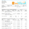 editable template, Bangladesh Janata bank statement easy to fill template in .xls and .pdf file format