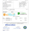 editable template, Brazil Banco do Brasil bank statement easy to fill template in Excel and PDF format