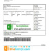 editable template, Brazil Caixa bank statement easy to fill template in Excel and PDF format