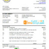 editable template, Bahamas The Central bank of the Bahamas bank statement easy to fill template in .xls and .pdf file format